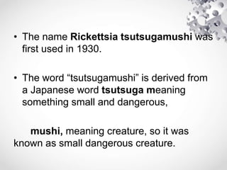 • The name Rickettsia tsutsugamushi was
first used in 1930.
• The word “tsutsugamushi” is derived from
a Japanese word tsutsuga meaning
something small and dangerous,
mushi, meaning creature, so it was
known as small dangerous creature.
 