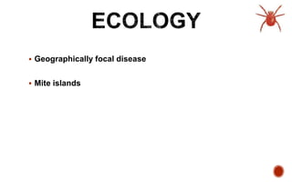  Geographically focal disease
 Mite islands
 