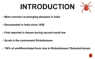  Most common re-emerging diseases in India
 Documented in India since 1930
 First reported in Assam during second world war
 Scrub is the commonest Rickettsioses
 *50% of undifferentiated fever due to Rickettsioses (*Selected Areas)
 