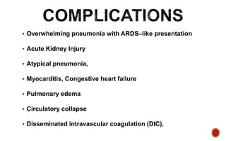  Overwhelming pneumonia with ARDS–like presentation
 Acute Kidney Injury
 Atypical pneumonia,
 Myocarditis, Congestive heart failure
 Pulmonary edema
 Circulatory collapse
 Disseminated intravascular coagulation (DIC).
 
