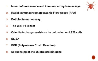 1. Immunofluorescence and immunoperoxydase assays
2. Rapid immunochromatographic Flow Assay (RFA)
3. Dot blot immunoassay
4. The Weil-Felix test
5. Orientia tsutsugamushi can be cultivated on L929 cells.
6. ELISA
7. PCR (Polymerase Chain Reaction)
8. Sequencing of the 56-kDa protein gene
 