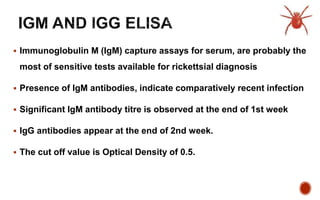  Immunoglobulin M (IgM) capture assays for serum, are probably the
most of sensitive tests available for rickettsial diagnosis
 Presence of IgM antibodies, indicate comparatively recent infection
 Significant IgM antibody titre is observed at the end of 1st week
 IgG antibodies appear at the end of 2nd week.
 The cut off value is Optical Density of 0.5.
 