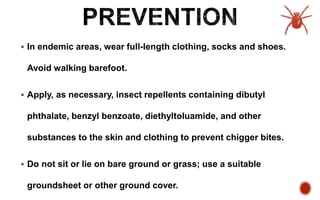  In endemic areas, wear full-length clothing, socks and shoes.
Avoid walking barefoot.
 Apply, as necessary, insect repellents containing dibutyl
phthalate, benzyl benzoate, diethyltoluamide, and other
substances to the skin and clothing to prevent chigger bites.
 Do not sit or lie on bare ground or grass; use a suitable
groundsheet or other ground cover.
 