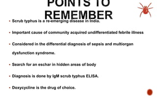  Scrub typhus is a re-emerging disease in India.
 Important cause of community acquired undifferentiated febrile illness
 Considered in the differential diagnosis of sepsis and multiorgan
dysfunction syndrome.
 Search for an eschar in hidden areas of body
 Diagnosis is done by IgM scrub typhus ELISA.
 Doxycycline is the drug of choice.
 