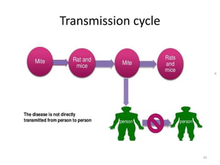 Transmission cycle
10
 