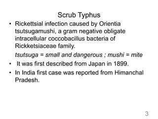 Scrub Typhus
• Rickettsial infection caused by Orientia
tsutsugamushi, a gram negative obligate
intracellular coccobacillu...