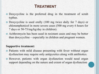 TREATMENT
 Doxycycline is the preferred drug in the treatment of scrub
typhus.
 Doxycycline is used orally (100 mg twice daily for 7 days) or
chloramphenicol in more severe cases (500 mg every 6 hours for
7 days or 50-75/mg/kg/day in children).
 Azithromycin has been used in resistant cases and may be better
than doxycycline – especially in children and pregnant women.
Supportive treatment:
 Patients with mild disease presenting with fever without organ
dysfunction may require only antipyretics along with antibiotics.
 However, patients with organ dysfunction would need organ
support depending on the nature and extent of organ dysfunction
 