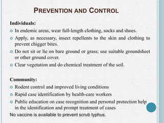 PREVENTION AND CONTROL
Individuals:
 In endemic areas, wear full-length clothing, socks and shoes.
 Apply, as necessary, insect repellents to the skin and clothing to
prevent chigger bites.
 Do not sit or lie on bare ground or grass; use suitable groundsheet
or other ground cover.
 Clear vegetation and do chemical treatment of the soil.
Community:
 Rodent control and improved living conditions
 Rapid case identification by health-care workers
 Public education on case recognition and personal protection help
in the identification and prompt treatment of cases
No vaccine is available to prevent scrub typhus.
 