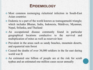 EPIDEMIOLOGY
 Most common reemerging rickettsial infection in South-East
Asian countries
 Endemic to a part of the world known as tsutsugamushi triangle;
which includes Bhutan, India, Indonesia, Maldives, Myanmar,
Nepal, Srilanka, and Thailand
 An occupational disease commonly found in particular
geographical locations conductive to the survival and
multiplication of mites as well as reservoir host
 Prevalent in the areas such as sandy beaches, mountain deserts,
and equatorial rain forest
 Caused the deaths of over 36,000 soldiers in the far east during
world war II
 An estimated one billion of people are at the risk for scrub
typhus and an estimated one million cases occur annually
 