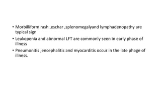 Morbilliform Rash Test Scrub Typhus.pptx