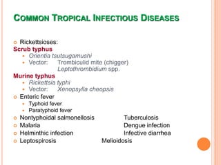 Typhus Vector Scrub Typhus 2079 08 05.pptx
