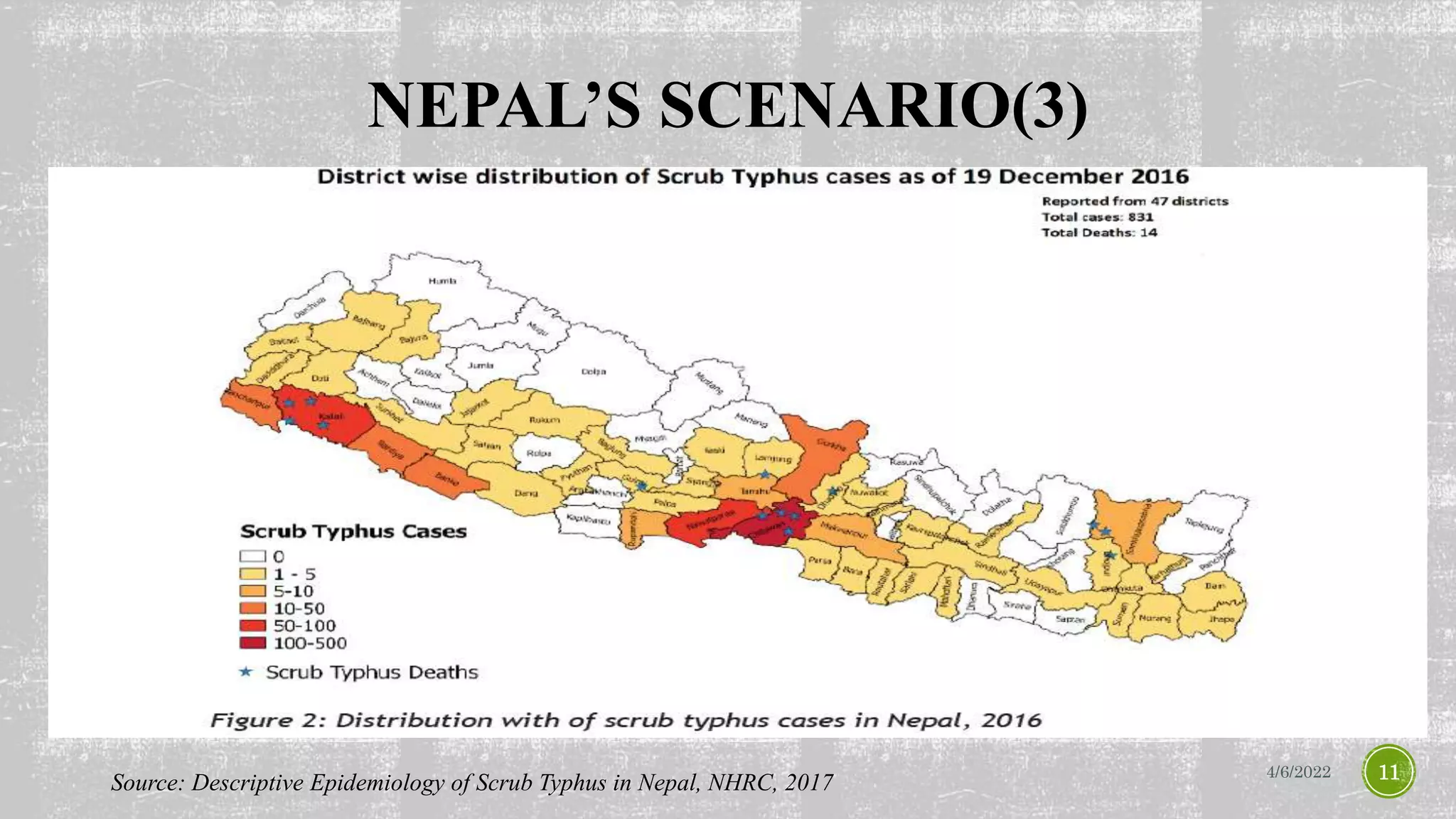 NEPAL’S SCENARIO(3)
 From 2015 to 2017, 1239 scrub typhus cases were confirmed with the largest
outbreak occurring in 2016 with 831 (67.1%) cases. The case fatality rate was
5.7% in 2015 which declined to 1.1% in 2017.
 A nationwide outbreak of scrub typhus was declared as the cases were detected
in 52 out of the 75 districts of Nepal.
4/6/2022 11
Source: Descriptive Epidemiology of Scrub Typhus in Nepal, NHRC, 2017
 
