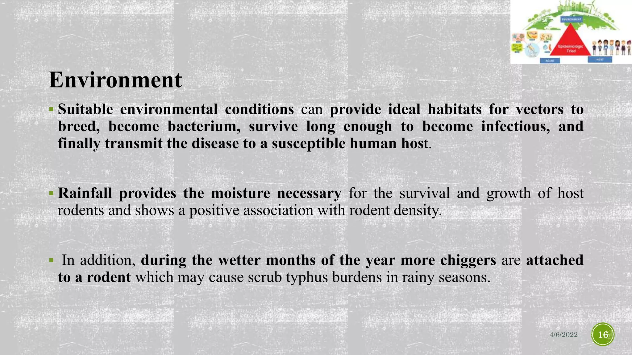 Environment
 Suitable environmental conditions can provide ideal habitats for vectors to
breed, become bacterium, survive long enough to become infectious, and
finally transmit the disease to a susceptible human host.
 Rainfall provides the moisture necessary for the survival and growth of host
rodents and shows a positive association with rodent density.
 In addition, during the wetter months of the year more chiggers are attached
to a rodent which may cause scrub typhus burdens in rainy seasons.
4/6/2022 16
 
