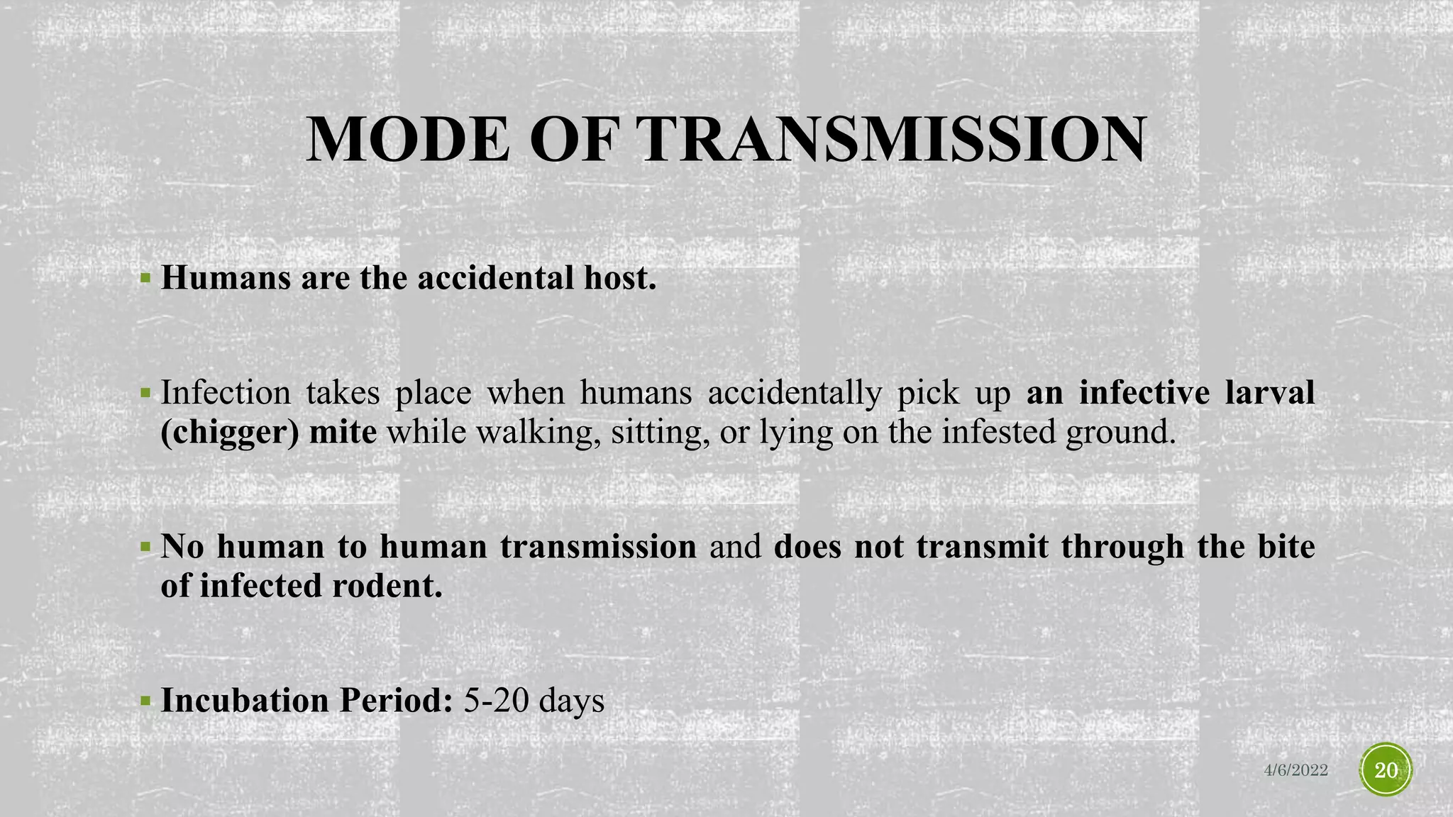 MODE OF TRANSMISSION
 Humans are the accidental host.
 Infection takes place when humans accidentally pick up an infective larval
(chigger) mite while walking, sitting, or lying on the infested ground.
 No human to human transmission and does not transmit through the bite
of infected rodent.
 Incubation Period: 5-20 days
4/6/2022 20
 