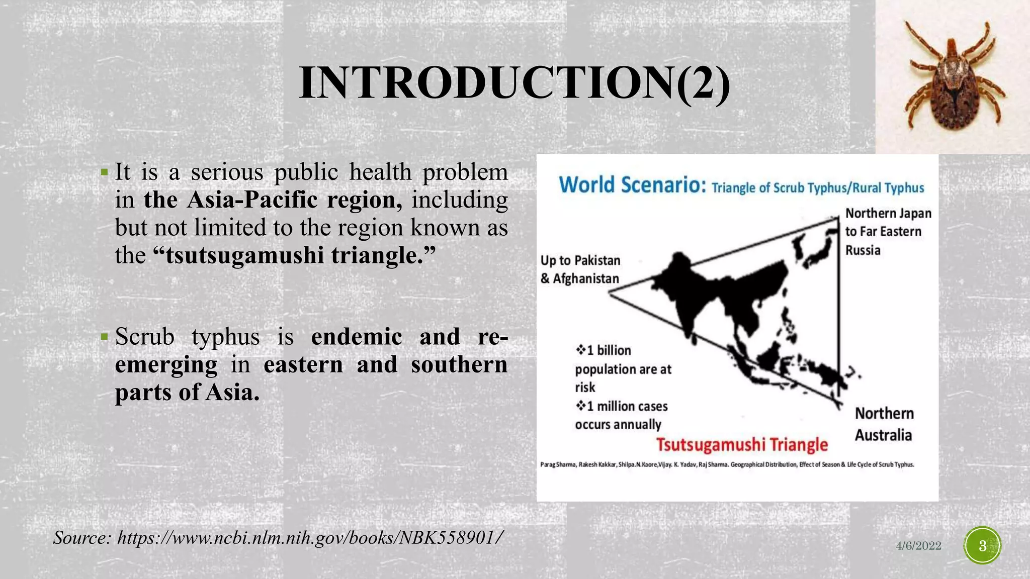 INTRODUCTION(2)
 It is a serious public health problem
in the Asia-Pacific region, including
but not limited to the region known as
the “tsutsugamushi triangle.”
 Scrub typhus is endemic and re-
emerging in eastern and southern
parts of Asia.
4/6/2022 3
Source: https://www.ncbi.nlm.nih.gov/books/NBK558901/
 