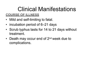 Clinical Manifestations
COURSE OF ILLNESS
• Mild and self-limiting to fatal.
• incubation period of 6–21 days
• Scrub typhus lasts for 14 to 21 days without
treatment.
• Death may occur end of 2nd week due to
complications.
 