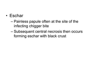 • Eschar
– Painless papule often at the site of the
infecting chigger bite
– Subsequent central necrosis then occurs
forming eschar with black crust
 