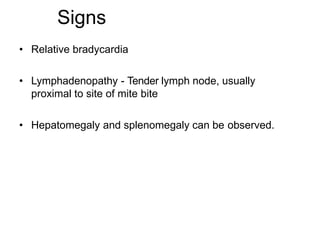 Signs
• Relative bradycardia
• Lymphadenopathy - Tender lymph node, usually
proximal to site of mite bite
• Hepatomegaly and splenomegaly can be observed.
 