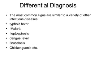 Differential Diagnosis
• The most common signs are similar to a variety of other
infectious diseases
• typhoid fever
• Malaria
• leptospirosis
• dengue fever
• Brucelosis
• Chickenguenia etc.
 