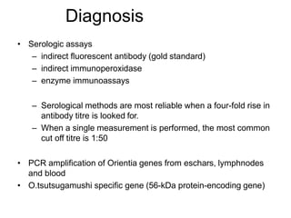 Diagnosis
• Serologic assays
– indirect fluorescent antibody (gold standard)
– indirect immunoperoxidase
– enzyme immunoassays
– Serological methods are most reliable when a four-fold rise in
antibody titre is looked for.
– When a single measurement is performed, the most common
cut off titre is 1:50
• PCR amplification of Orientia genes from eschars, lymphnodes
and blood
• O.tsutsugamushi specific gene (56-kDa protein-encoding gene)
 
