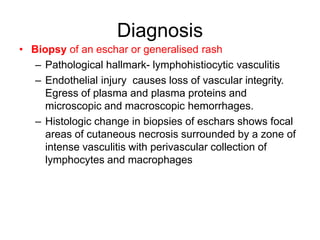 Diagnosis
• Biopsy of an eschar or generalised rash
– Pathological hallmark- lymphohistiocytic vasculitis
– Endothelial injury causes loss of vascular integrity.
Egress of plasma and plasma proteins and
microscopic and macroscopic hemorrhages.
– Histologic change in biopsies of eschars shows focal
areas of cutaneous necrosis surrounded by a zone of
intense vasculitis with perivascular collection of
lymphocytes and macrophages
 