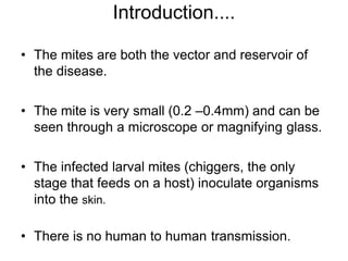 Introduction....
• The mites are both the vector and reservoir of
the disease.
• The mite is very small (0.2 –0.4mm) and can be
seen through a microscope or magnifying glass.
• The infected larval mites (chiggers, the only
stage that feeds on a host) inoculate organisms
into the skin.
• There is no human to human transmission.
 