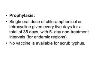 • Prophylaxis:
• Single oral dose of chloramphenicol or
tetracycline given every five days for a
total of 35 days, with 5- day non-treatment
intervals (for endemic regions).
• No vaccine is available for scrub typhus.
 