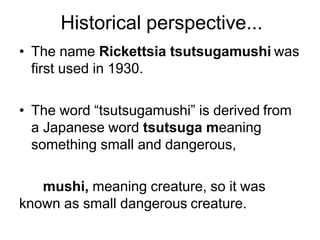 • The name Rickettsia tsutsugamushi was
first used in 1930.
• The word “tsutsugamushi” is derived from
a Japanese word tsutsuga meaning
something small and dangerous,
mushi, meaning creature, so it was
known as small dangerous creature.
Historical perspective...
 