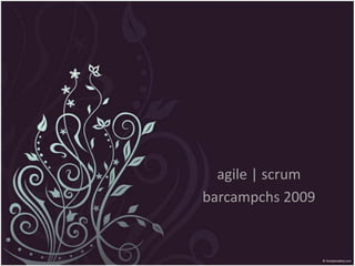 agile | scrum barcampchs 2009 