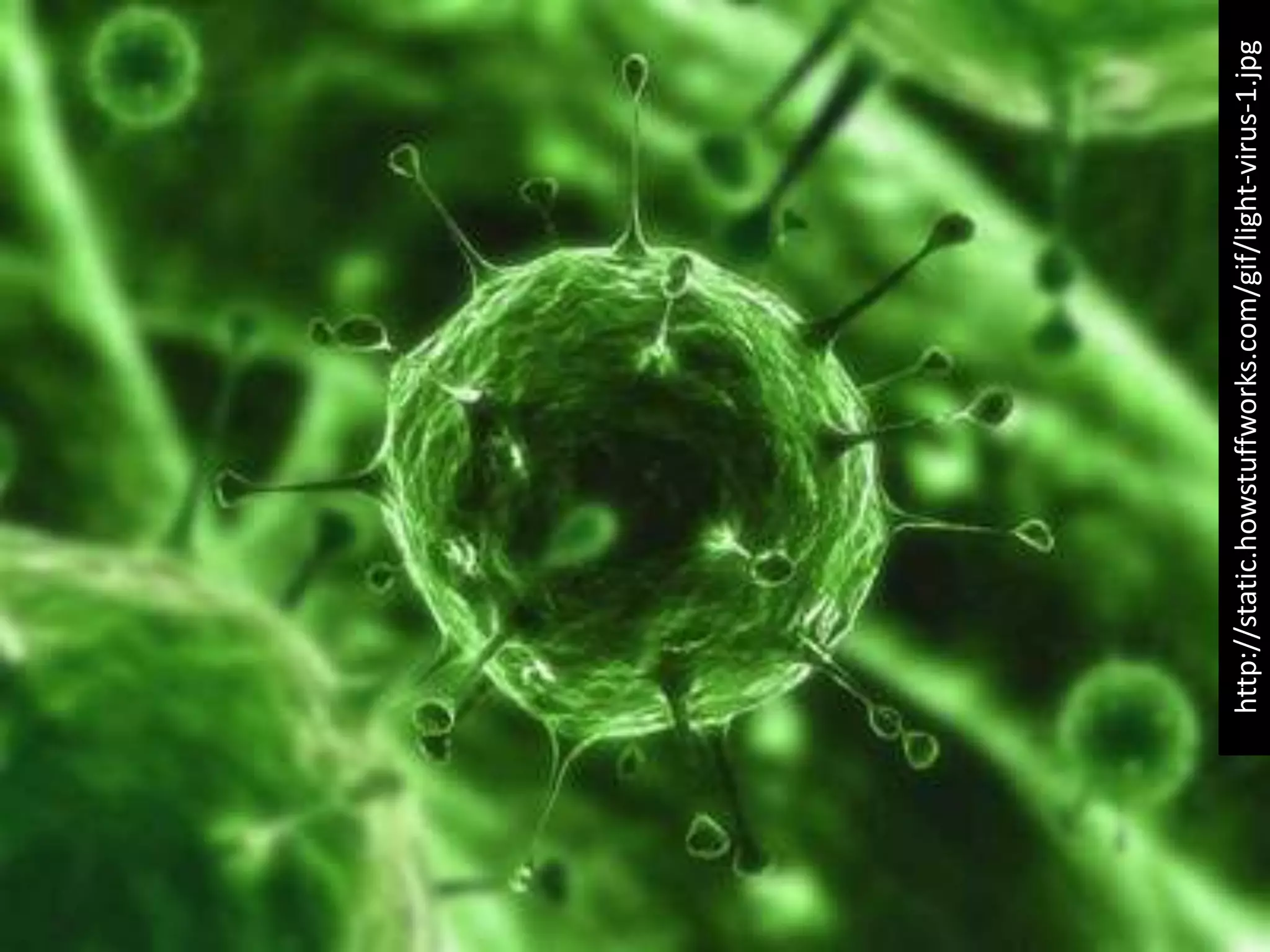 http://static.howstuffworks.com/gif/light-virus-1.jpg