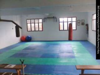 http://www.fightgymsbc.com/fotos/tatame.jpg