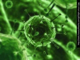 http://static.howstuffworks.com/gif/light-virus-1.jpg