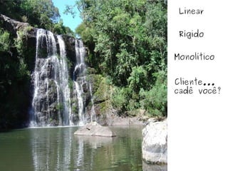 Linear Rígido Monolítico Cliente... cadê você? 