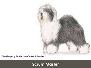 colaboração do cliente ao invés de negociação de contratos.