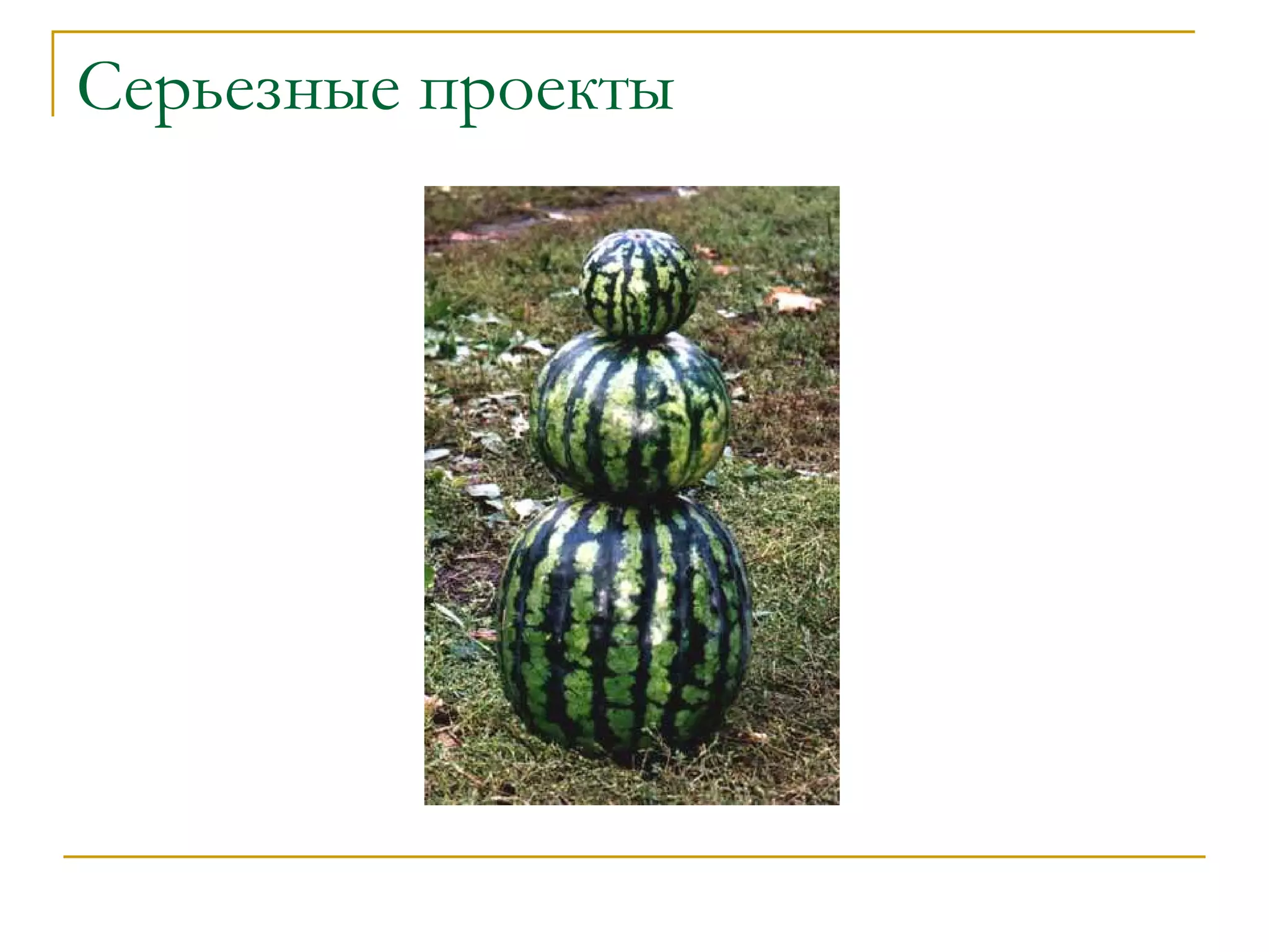 Серьезные проекты 