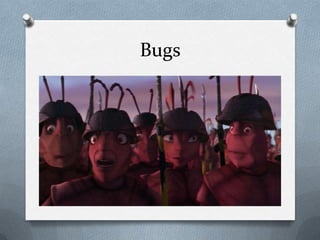Bugs
 