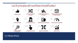 12 PRINCIPIOS
 
