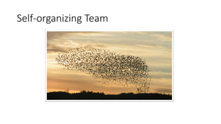Self-organizing Team  