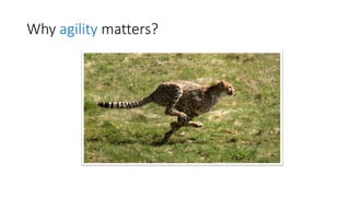 Why agilitymatters?  