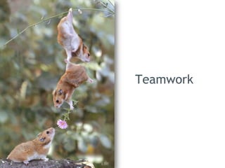 Teamwork




26
 
