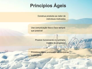 Princípios Ágeis
Construa produtos ao redor de
indivíduos motivados
Use comunicação face a face sempre
que possível
Produto funcionando é a primeira
medida de progresso
Processos ágeis promovem um ambiente
sustentável
 