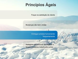 Princípios Ágeis
Foque na satisfação do cliente
Mudanças são bem vindas
Entregue produto funcionando
frequentemente
Assegure que pessoas de negócio e
desenvolvedores trabalharão juntos
 