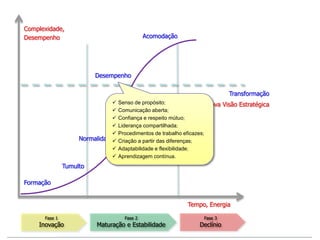 Complexidade,
Desempenho
Formação
Desempenho
Acomodação
Fase 1
Inovação
Fase 2
Maturação e Estabilidade
Tumulto
Normalidade
Fase 3
Declínio
Transformação
Nova Visão Estratégica
Tempo, Energia
 Senso de propósito;
 Comunicação aberta;
 Confiança e respeito mútuo;
 Liderança compartilhada;
 Procedimentos de trabalho eficazes;
 Criação a partir das diferenças;
 Adaptabilidade e flexibilidade;
 Aprendizagem contínua.
 