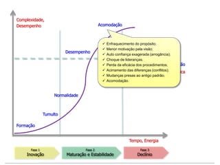 Complexidade,
Desempenho
Formação
Desempenho
Acomodação
Fase 1
Inovação
Fase 2
Maturação e Estabilidade
Tumulto
Normalidade
Fase 3
Declínio
Transformação
Nova Visão Estratégica
Tempo, Energia
 Enfraquecimento do propósito;
 Menor motivação pela visão;
 Auto confiança exagerada (arrogância);
 Choque de lideranças;
 Perda da eficácia dos procedimentos;
 Acirramento das diferenças (conflitos);
 Mudanças presas ao antigo padrão;
 Acomodação.
 
