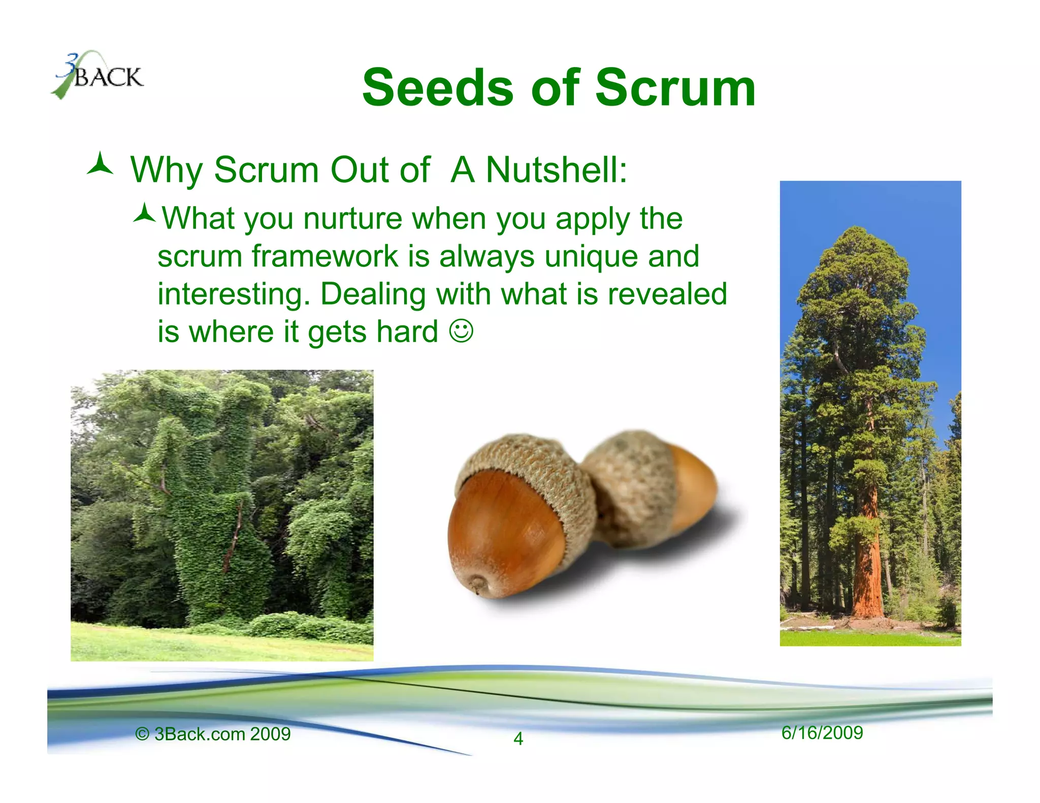Seeds of Scrum
Why Scrum Out of A Nutshell:
   What you nurture when you apply the
  scrum framework is always unique and
  interesting. Dealing with what is revealed
  is where it gets hard ☺




© 3Back.com 2009            4                  6/16/2009
 