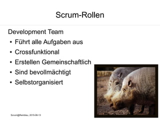 Scrum@Reinblau, 2015-06-13
Scrum-Rollen
Development Team
● Führt alle Aufgaben aus
● Crossfunktional
● Erstellen Gemeinschaftlich
● Sind bevollmächtigt
● Selbstorganisiert
 
