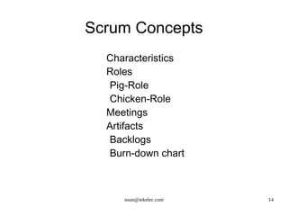 Lean principles http://en.wikipedia.org/wiki/Lean_software_development 