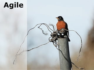 Agile

 