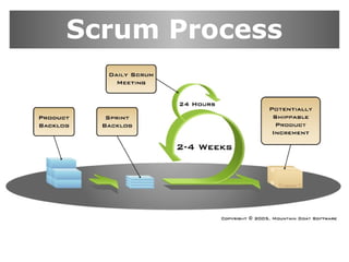 Scrum Process

 