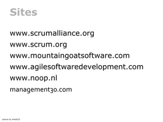 Sites
www.scrumalliance.org
www.scrum.org
www.mountaingoatsoftware.com
www.agilesoftwaredevelopment.com
www.noop.nl
management30.com

picture by VistaICO

 